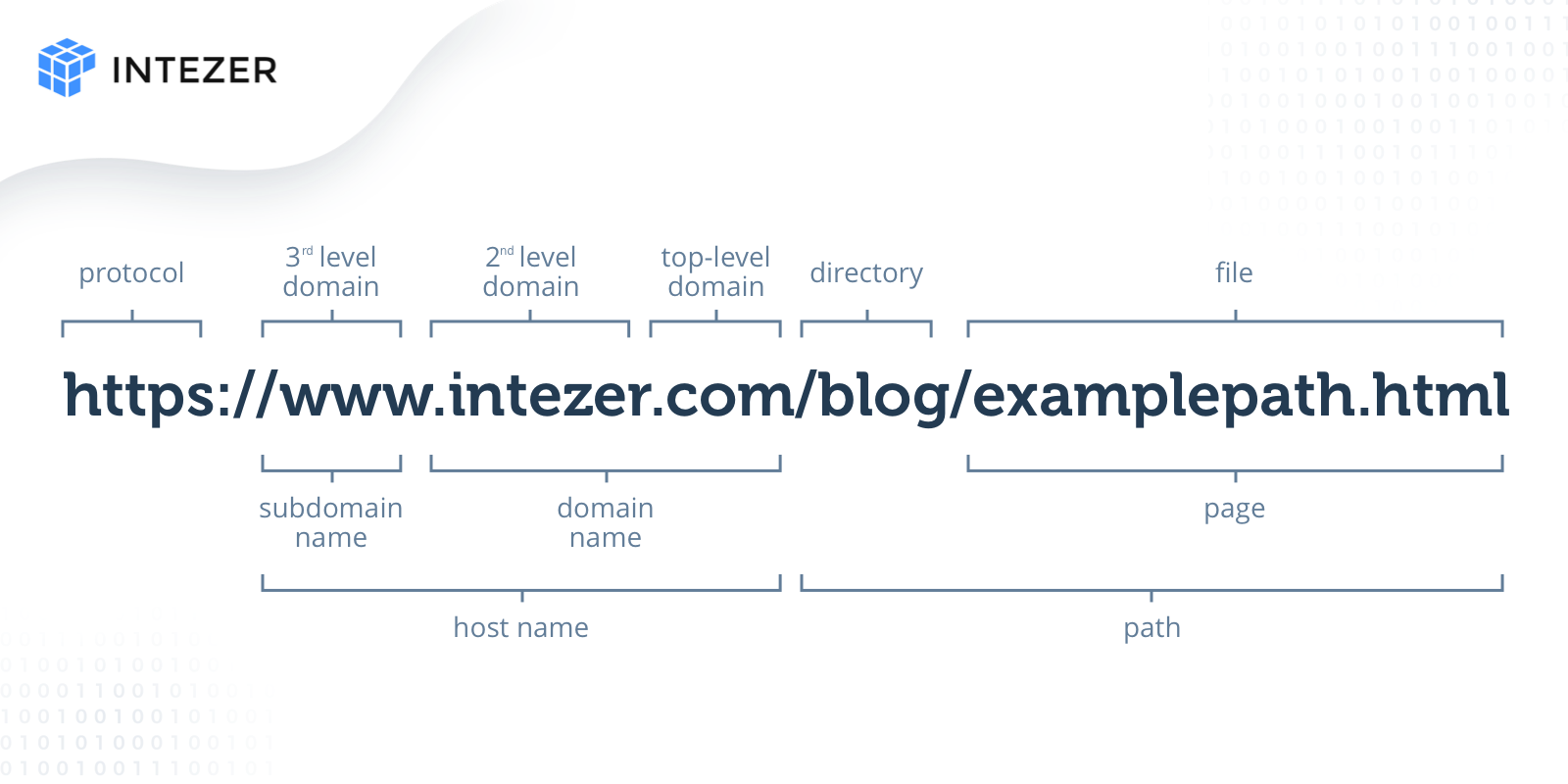 url structure for analysis 